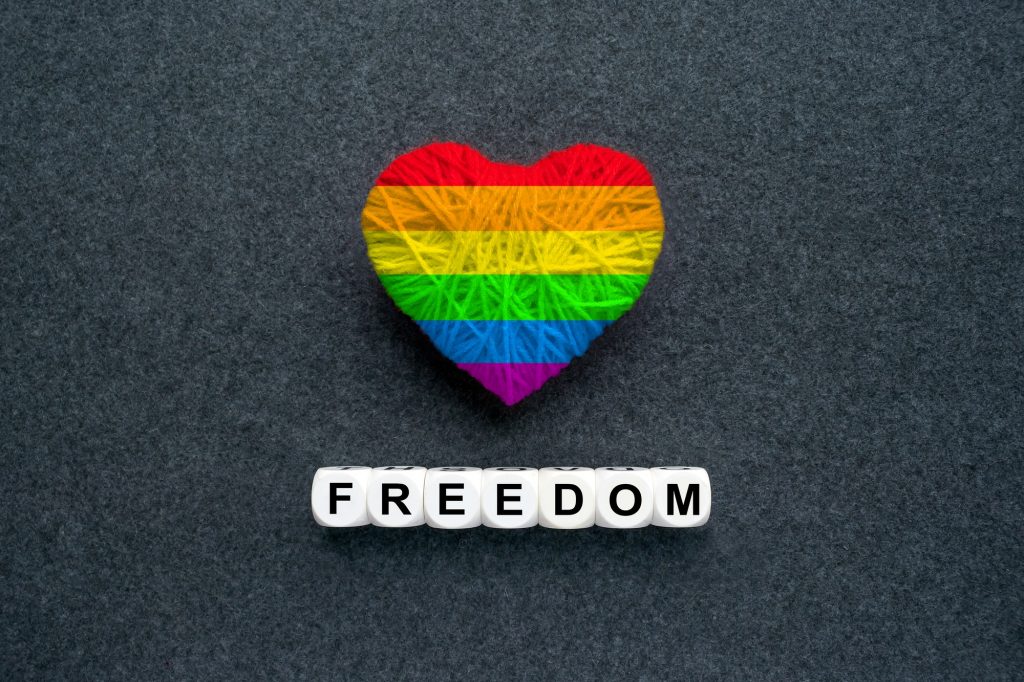 !!!Nominated!!! Knitted heart with Lgbt gay rainbow flag and words Freedom on a dark felt background